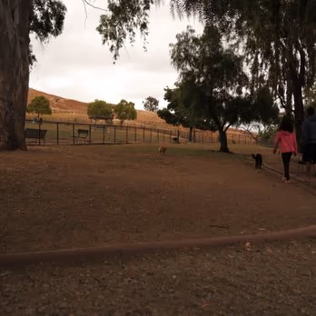 Dog Park at Ed Levin Park photo 1
